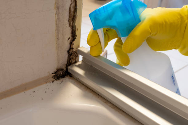 Best Commercial Mold Inspection  in Wappingers Falls, NY